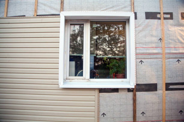 Best Residential Vinyl Siding Installation  in Perry, LA