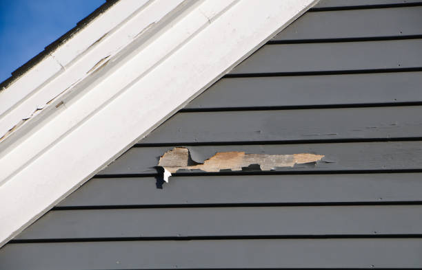Best James Hardie Siding  in Perry, LA